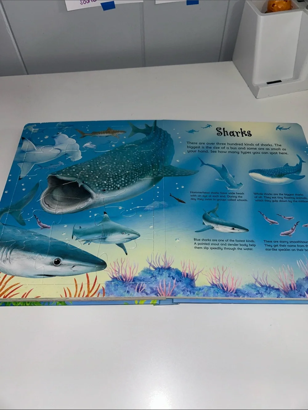 Usborne Under the Sea Jigsaw Large Board Book - Built in Puzzles